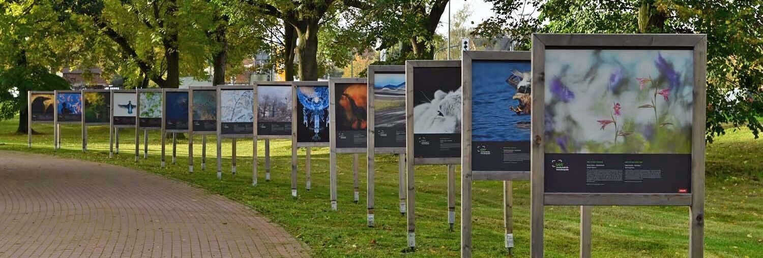 Auf einer Wiese stehen entlang eines Weges eine Reihe von Aufstellern mit großformatigen Fotodrucken mit verschiedenen Naturmotiven.