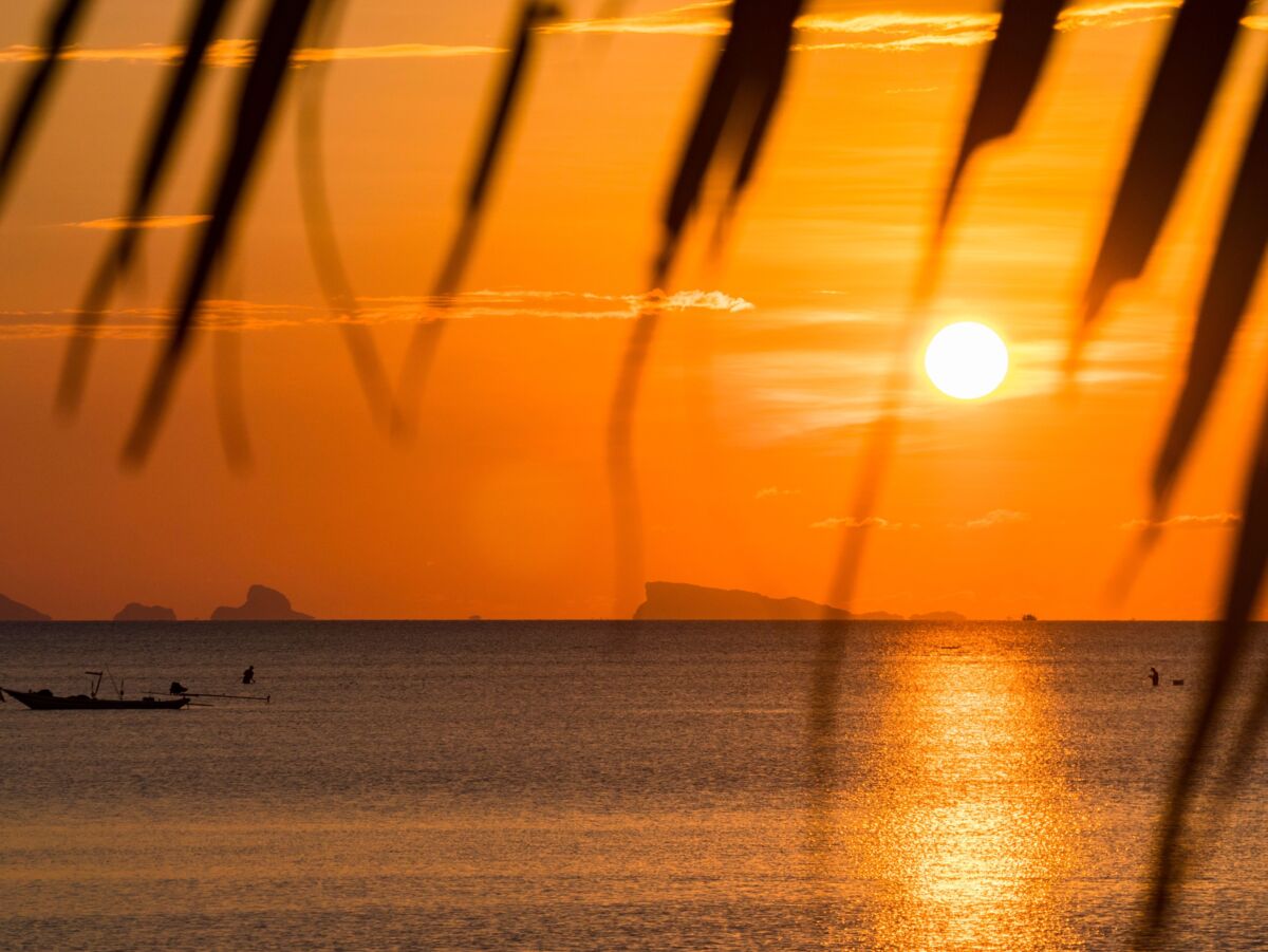 Sonnenuntergang über dem Meer, im Vordergrund ragen Palmenblätter ins Bild. Der Himmel ist rot.